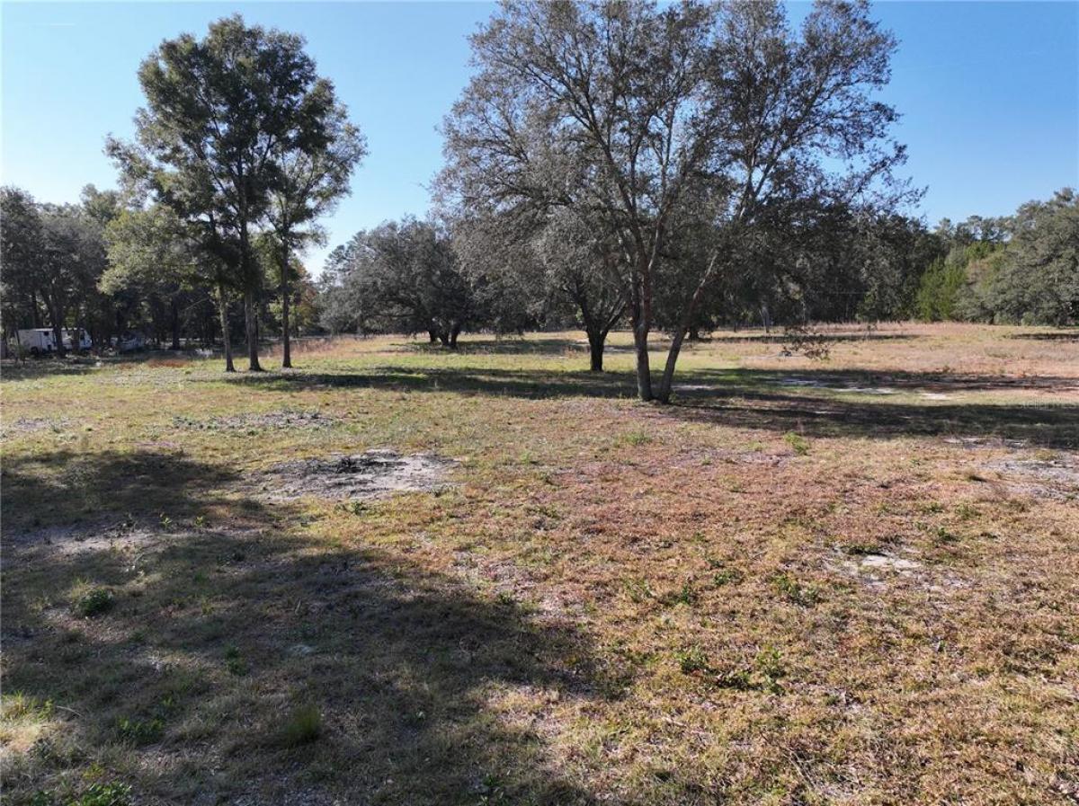 Picture of Raw Land For Sale in Williston, Florida, United States