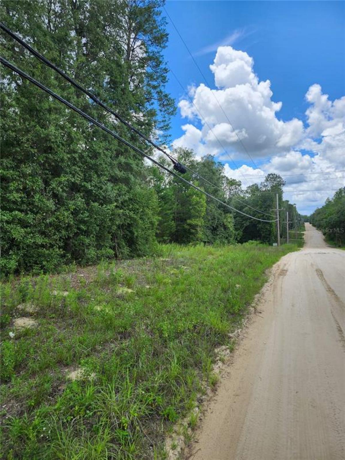 Picture of Raw Land For Sale in Keystone Heights, Florida, United States