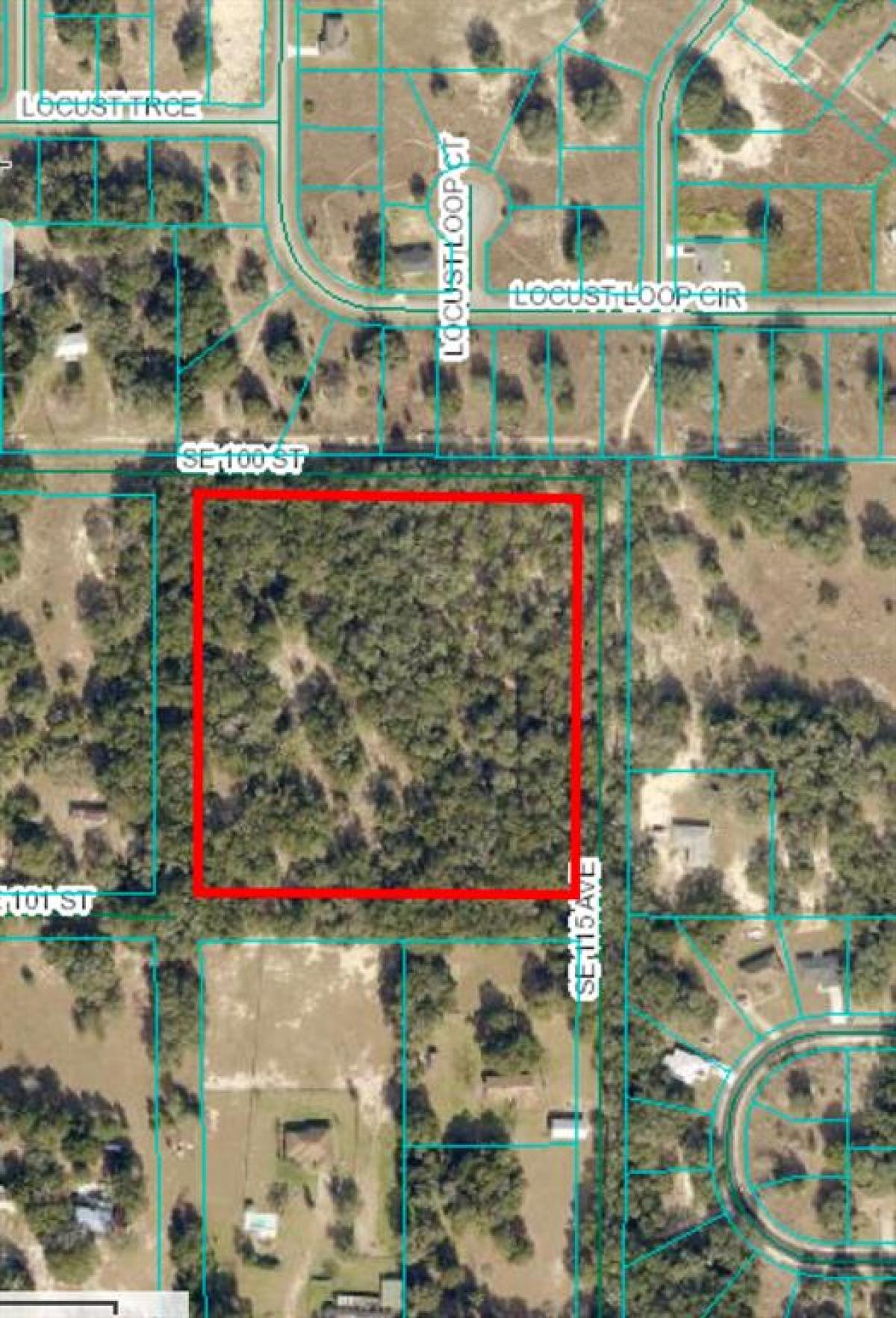 Picture of Raw Land For Sale in Ocala, Florida, United States