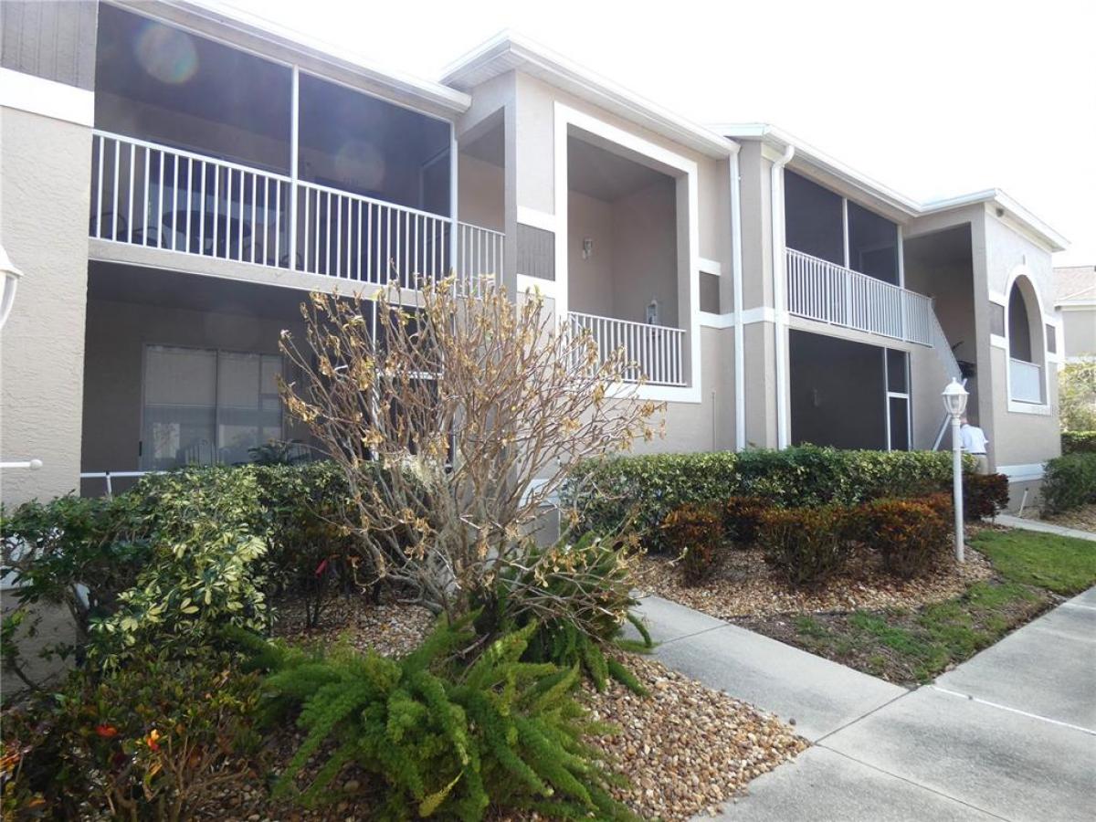 Picture of Condo For Rent in Sarasota, Florida, United States