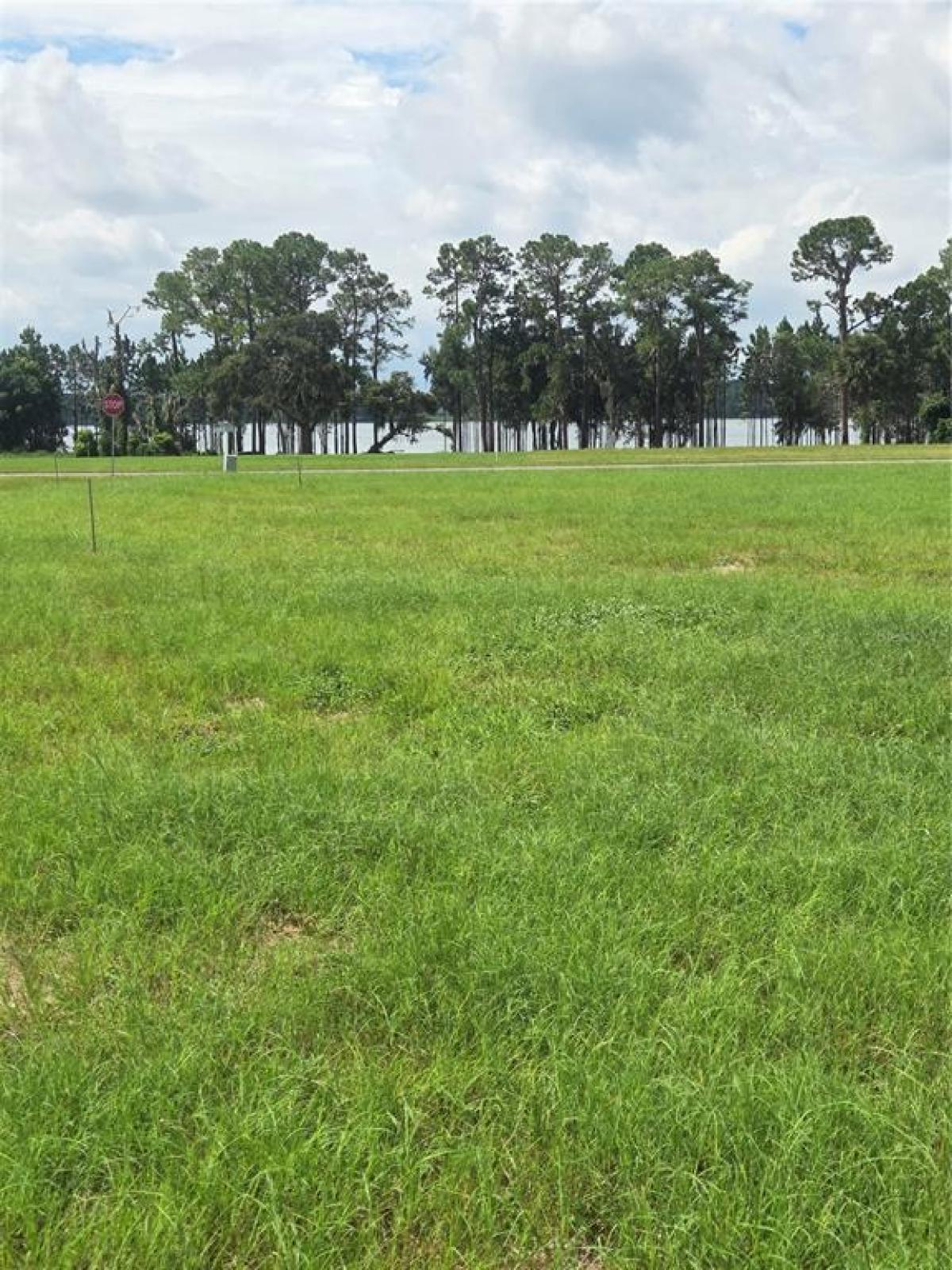 Picture of Raw Land For Sale in Umatilla, Florida, United States