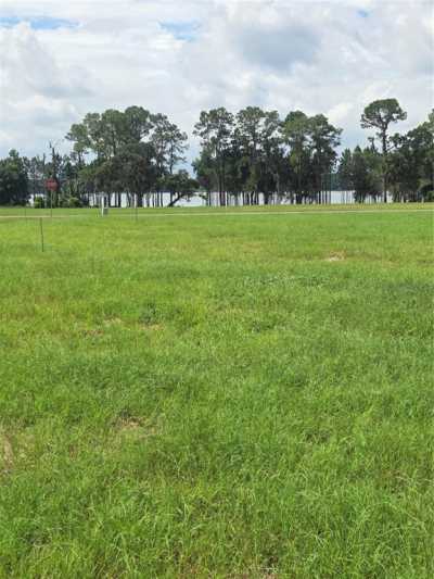 Raw Land For Sale in Umatilla, Florida
