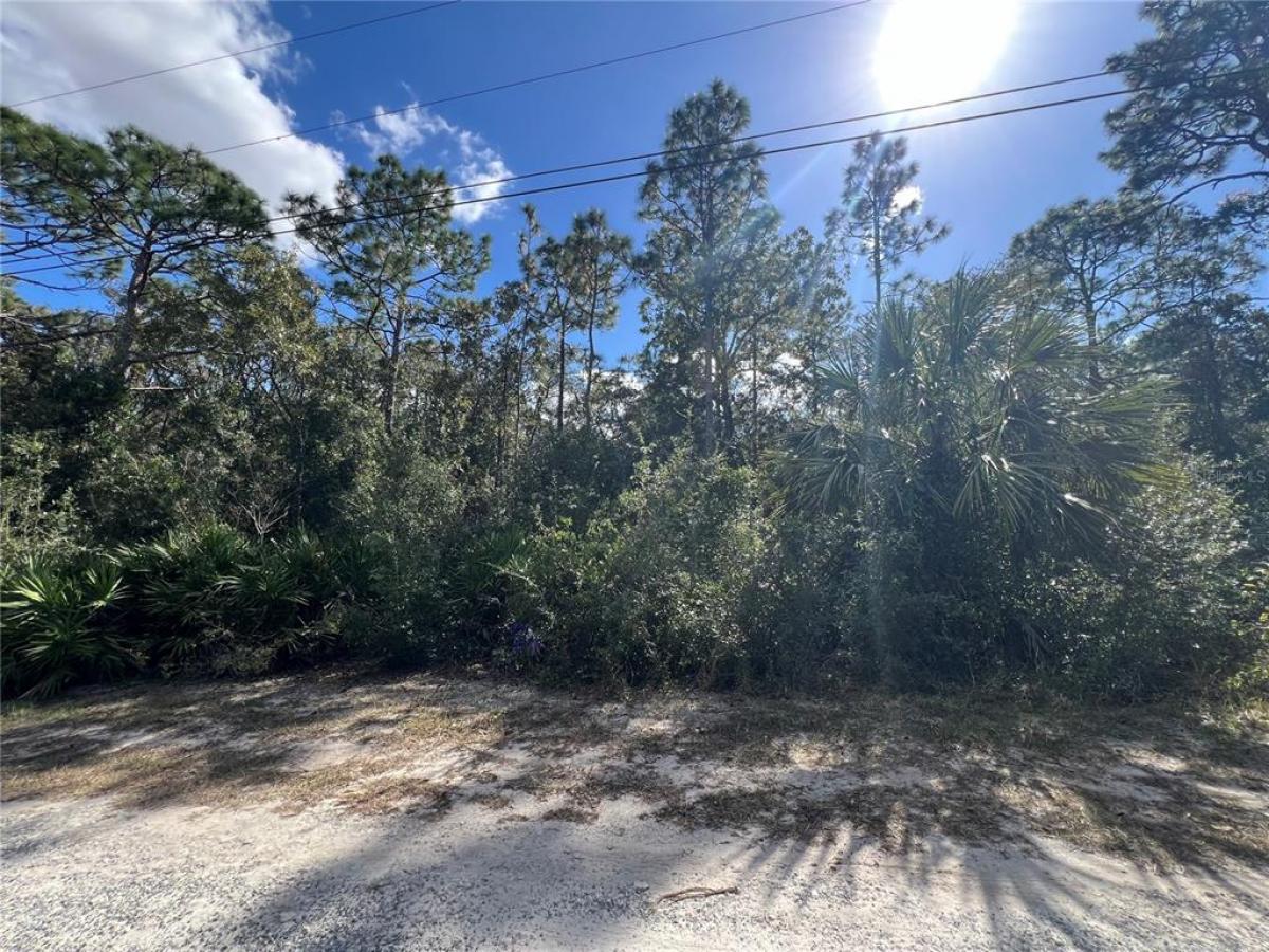 Picture of Raw Land For Sale in Crystal River, Florida, United States