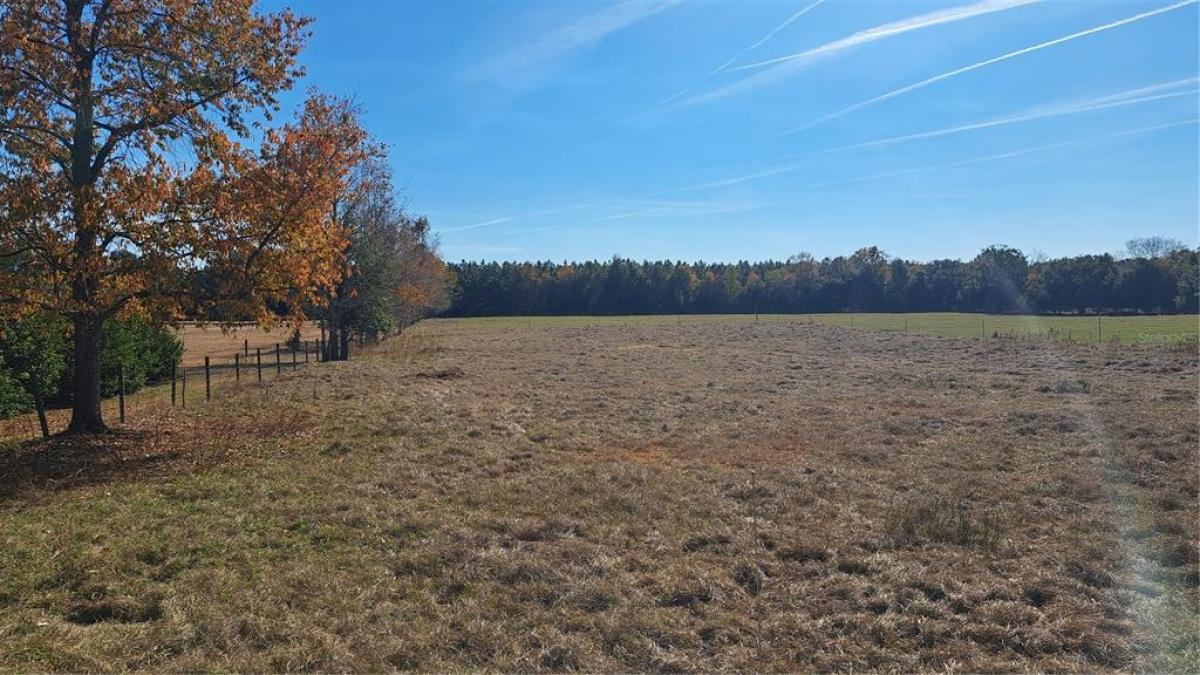 Picture of Raw Land For Sale in Alachua, Florida, United States