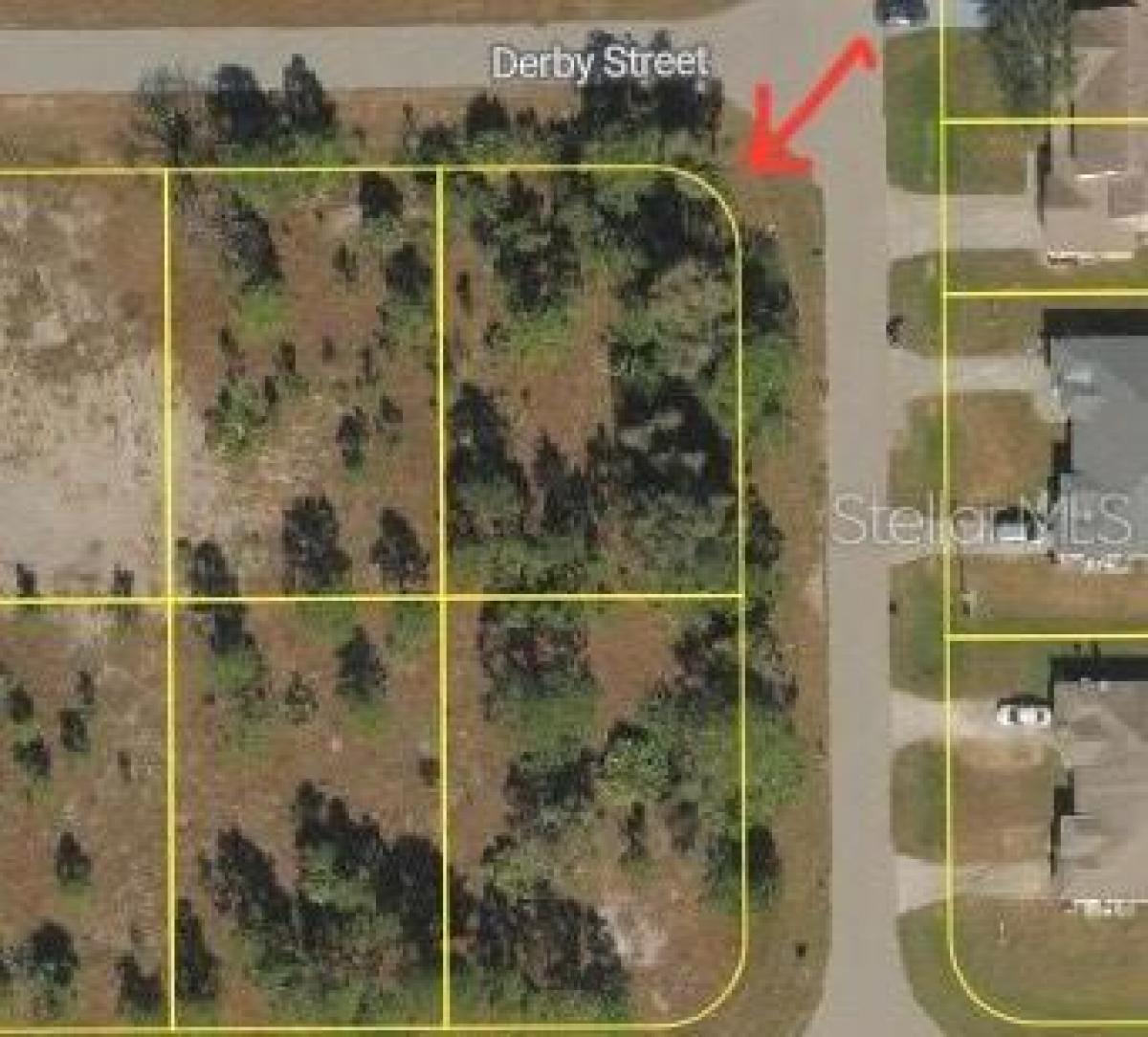 Picture of Raw Land For Sale in Lehigh Acres, Florida, United States