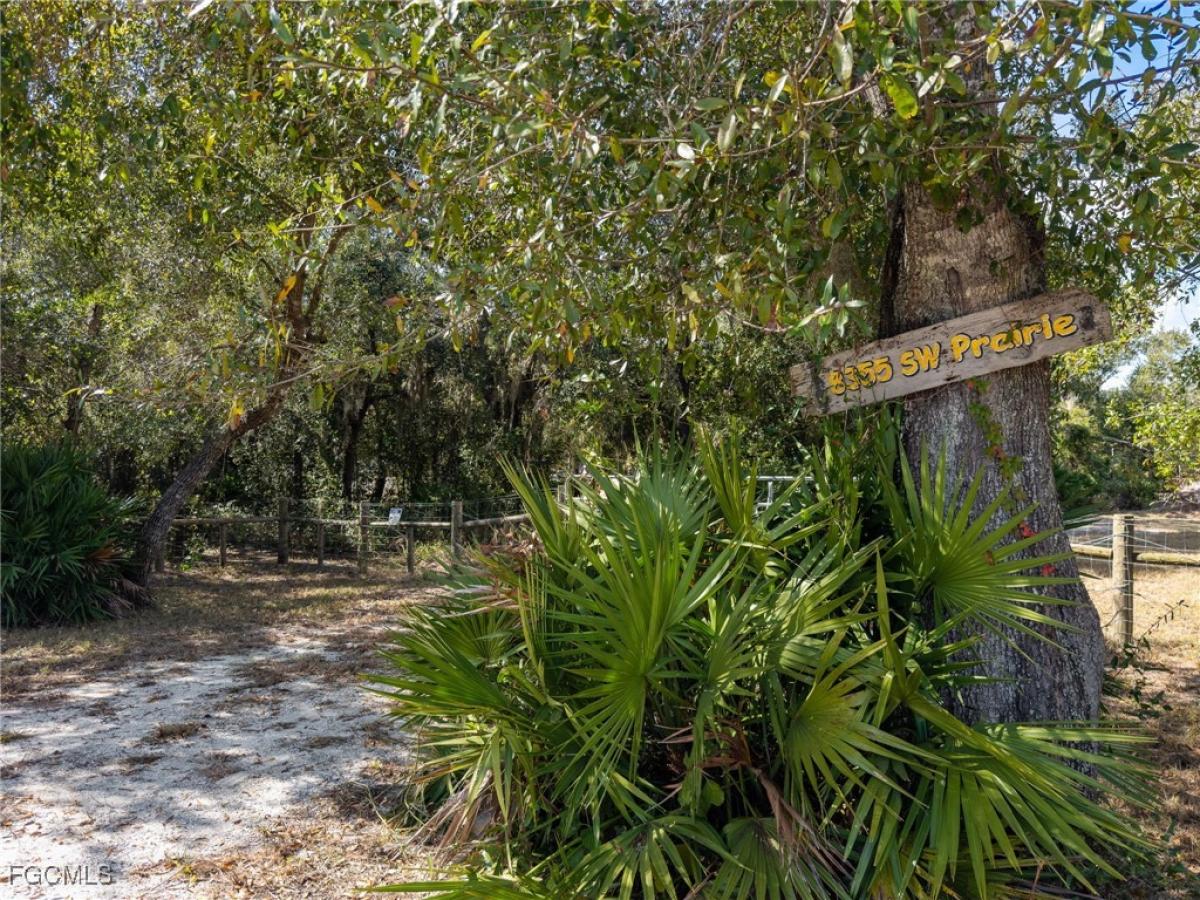 Picture of Raw Land For Sale in Arcadia, Florida, United States
