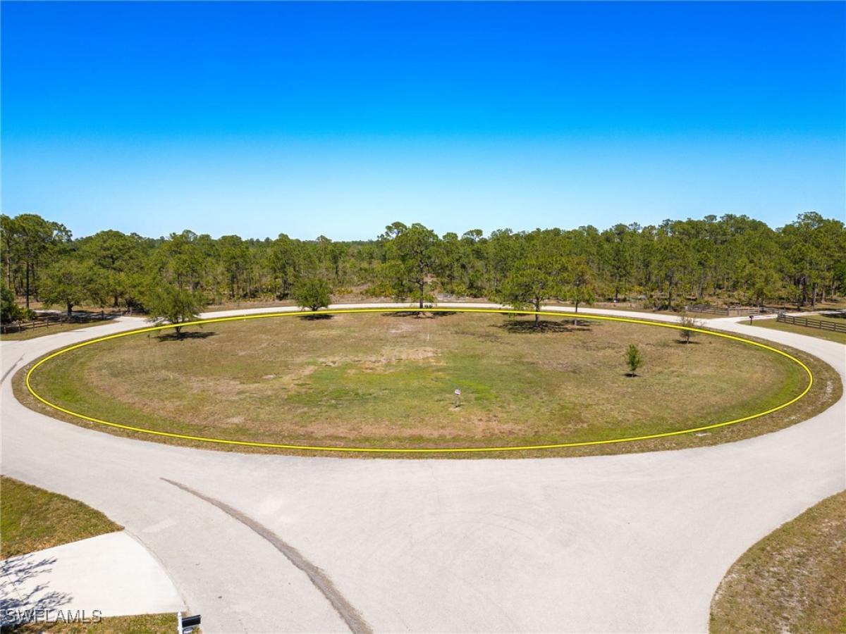 Picture of Raw Land For Sale in Alva, Florida, United States