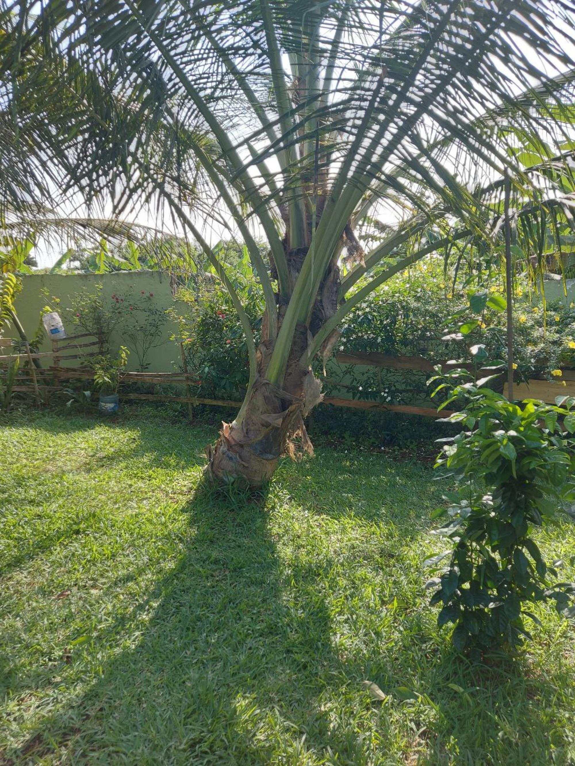 Home For Sale in Winneba, Central, Ghana