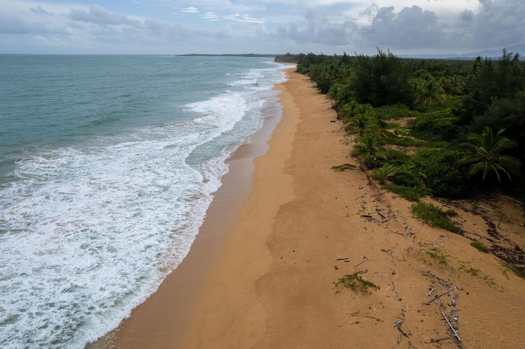 Picture of Commercial Land For Sale in Loiza, Puerto Rico, Puerto Rico