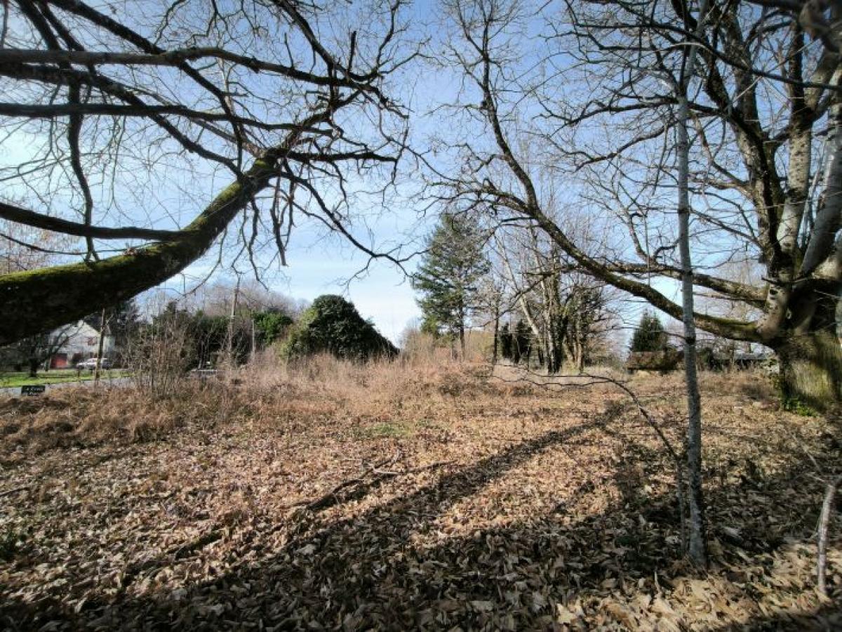 Picture of Home For Sale in Beyssenac, Correze, France