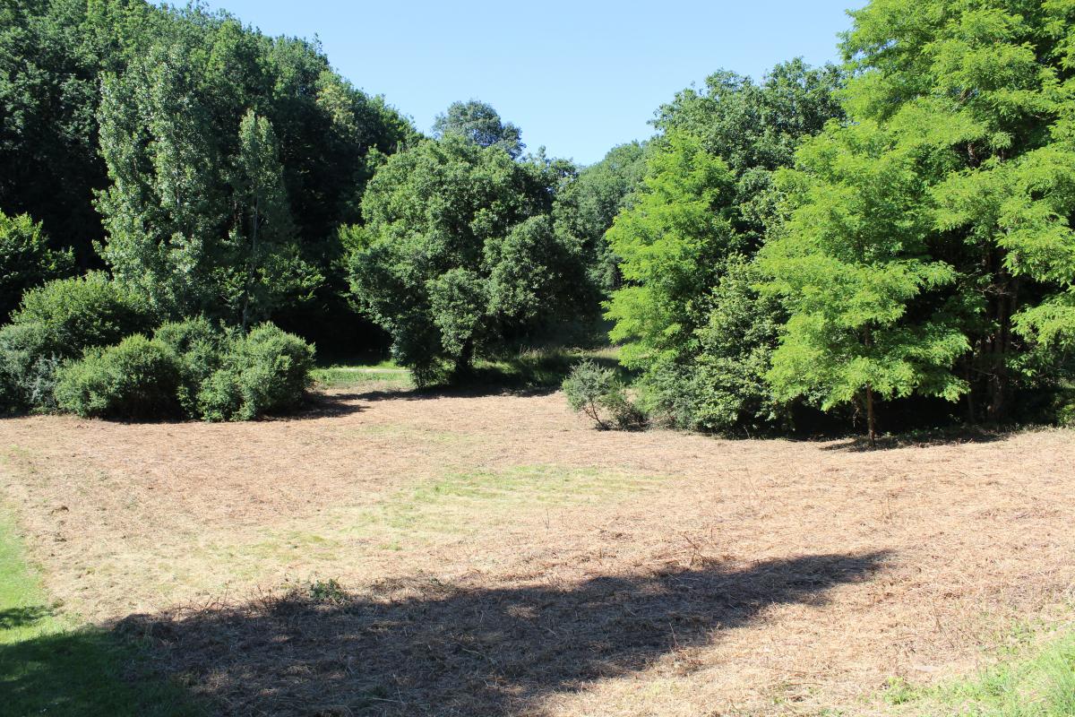 Picture of Residential Land For Sale in Cadouin, Other, France