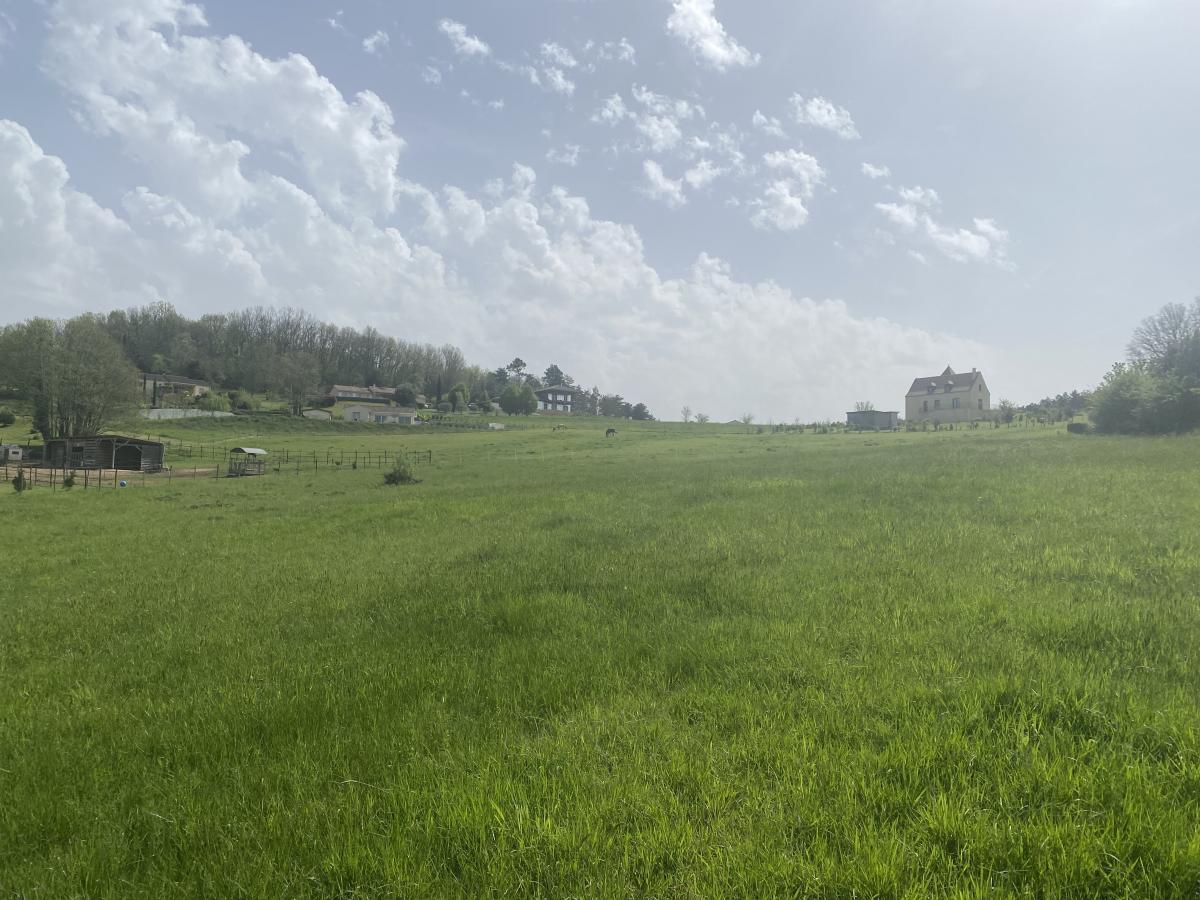 Picture of Residential Land For Sale in Castels, Other, France