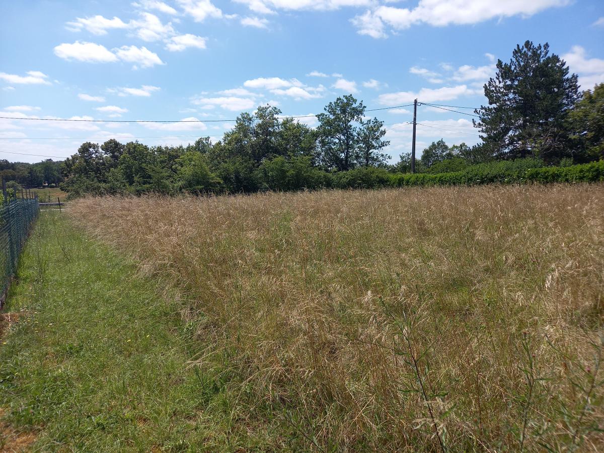 Picture of Residential Land For Sale in Castillonnes, Other, France
