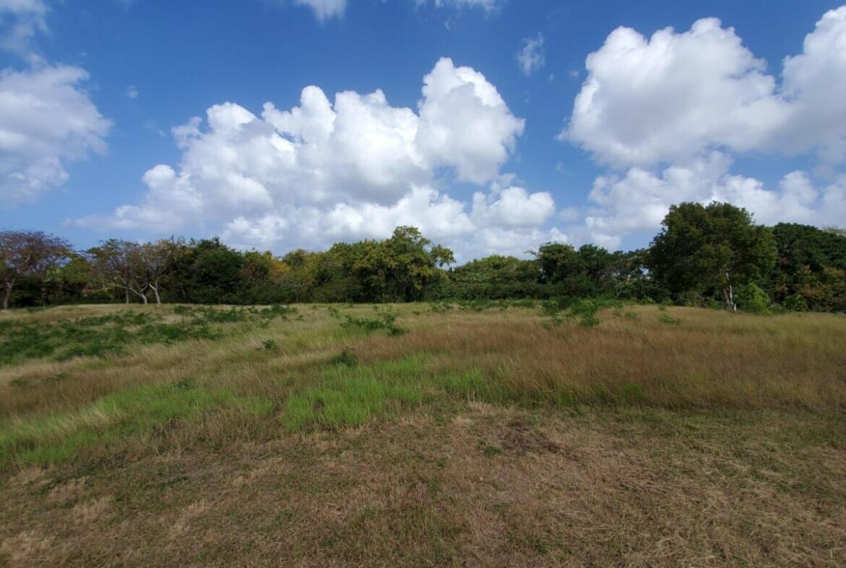 Picture of Residential Land For Sale in Bridgetown, Saint Michael, Barbados