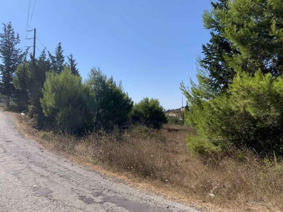 Picture of Residential Land For Sale in Zakinthos, Attica, Greece