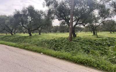 Residential Land For Sale in Zakinthos, Greece