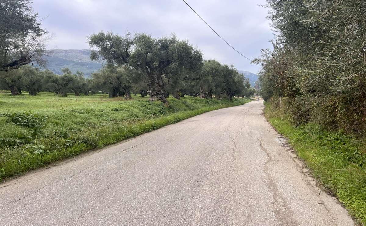 Picture of Residential Land For Sale in Zakinthos, Attica, Greece