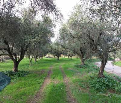 Residential Land For Sale in Zakinthos, Greece