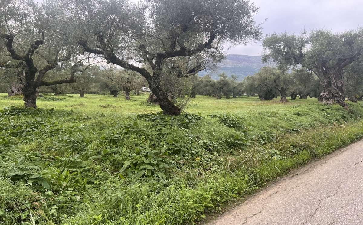 Picture of Residential Land For Sale in Zakinthos, Attica, Greece
