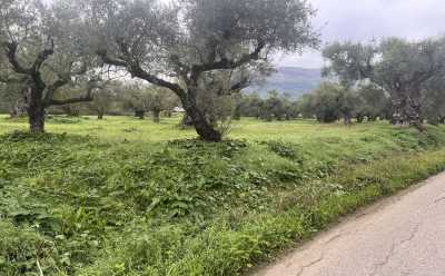 Residential Land For Sale in Zakinthos, Greece