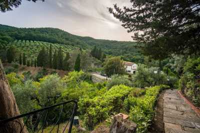 Villa For Sale in Collesalvetti, Italy