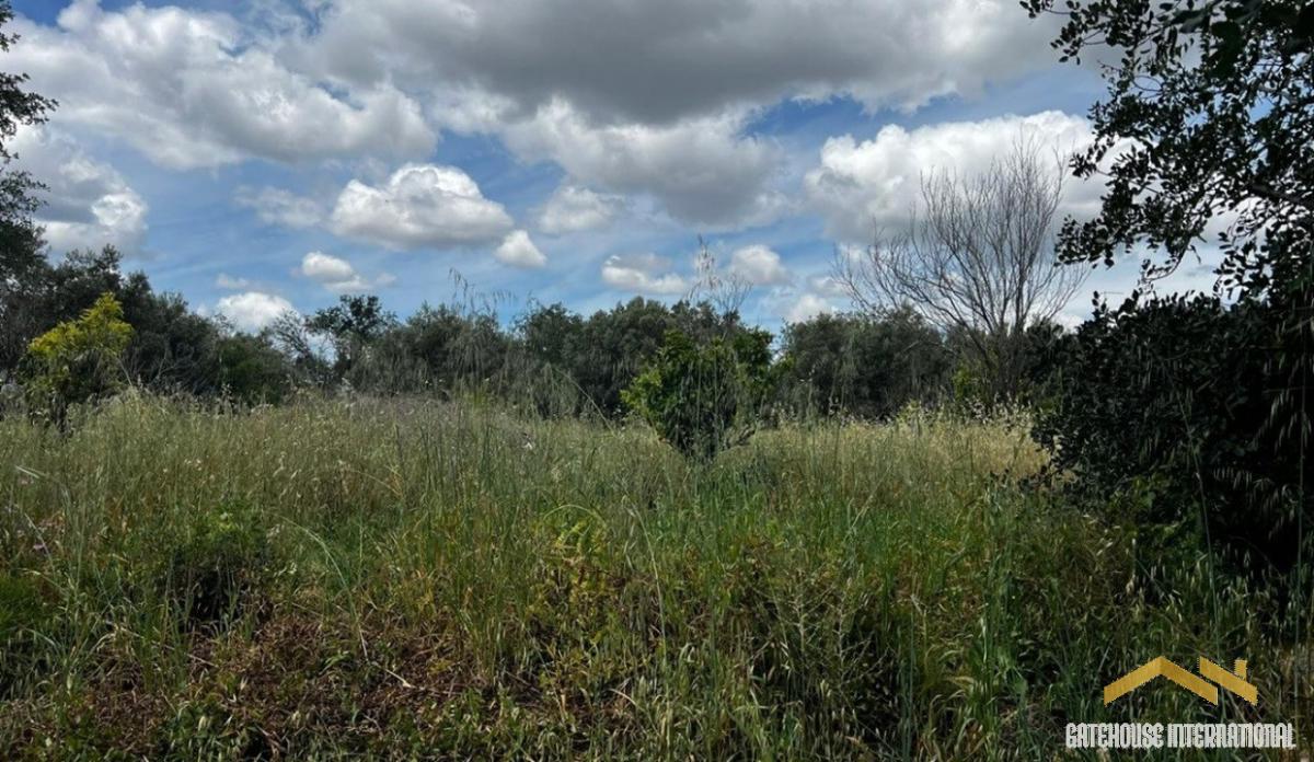 Picture of Residential Land For Sale in Loule, Faro, Portugal
