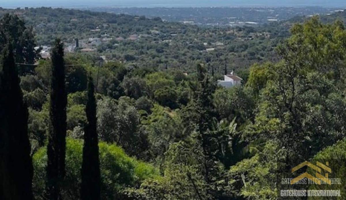 Picture of Residential Land For Sale in Santa Barbara De Nexe, Faro, Portugal