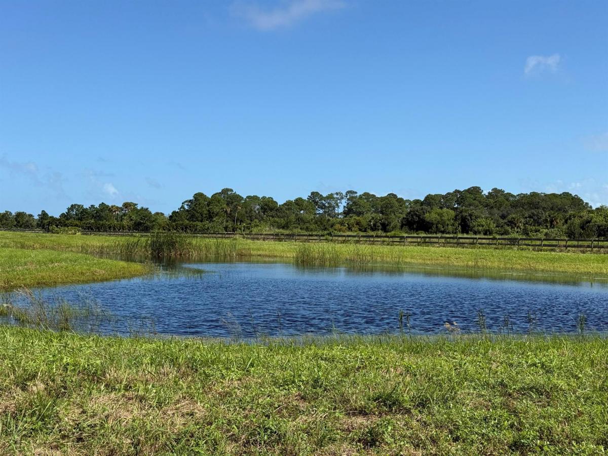 Picture of Raw Land For Sale in Vero Beach, Florida, United States