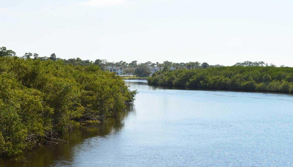 Picture of Raw Land For Sale in Fort Pierce, Florida, United States