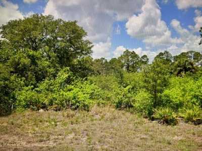 Raw Land For Sale in Labelle, Florida