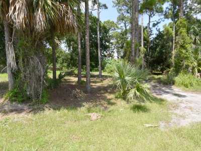 Raw Land For Sale in 