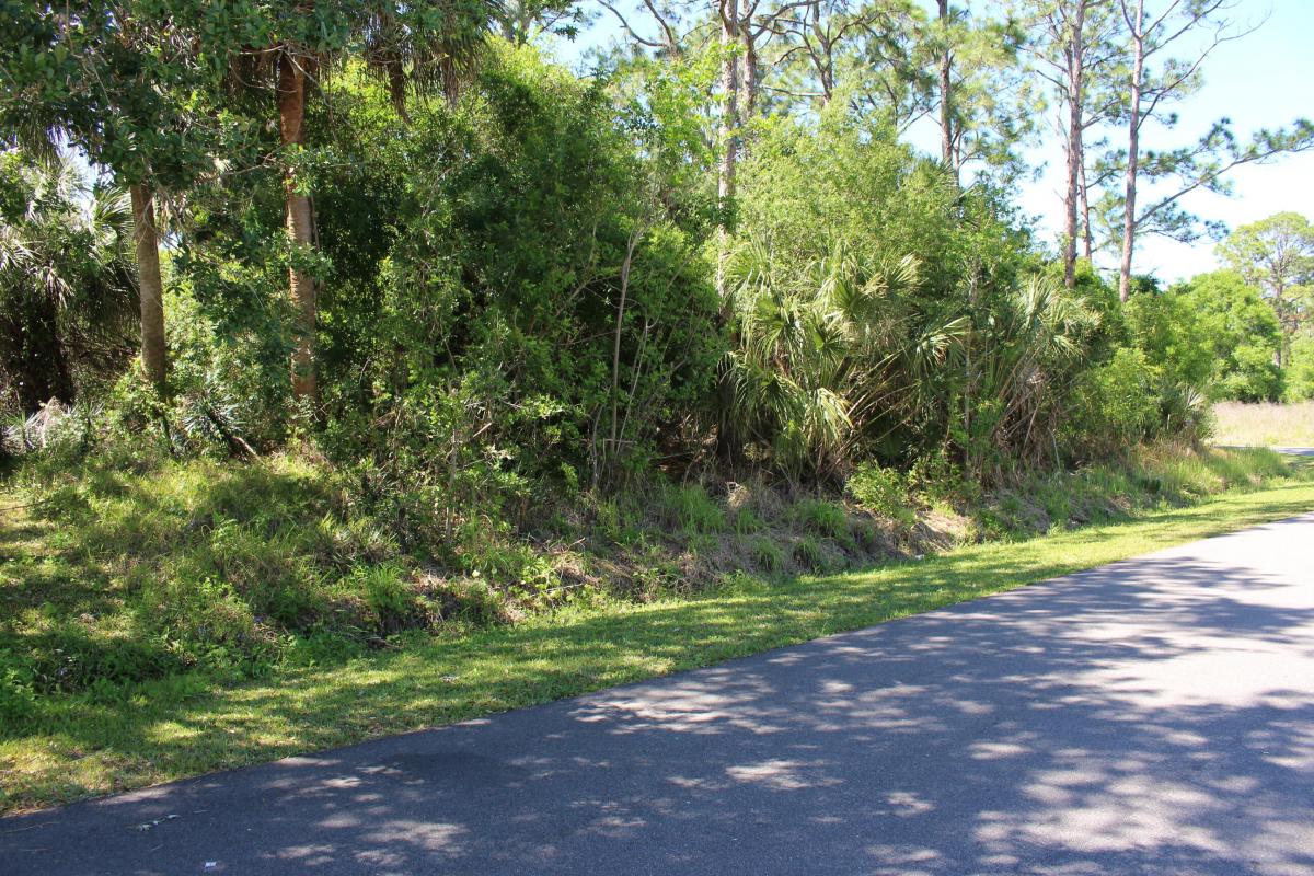 Picture of Raw Land For Sale in Palm Bay, Florida, United States