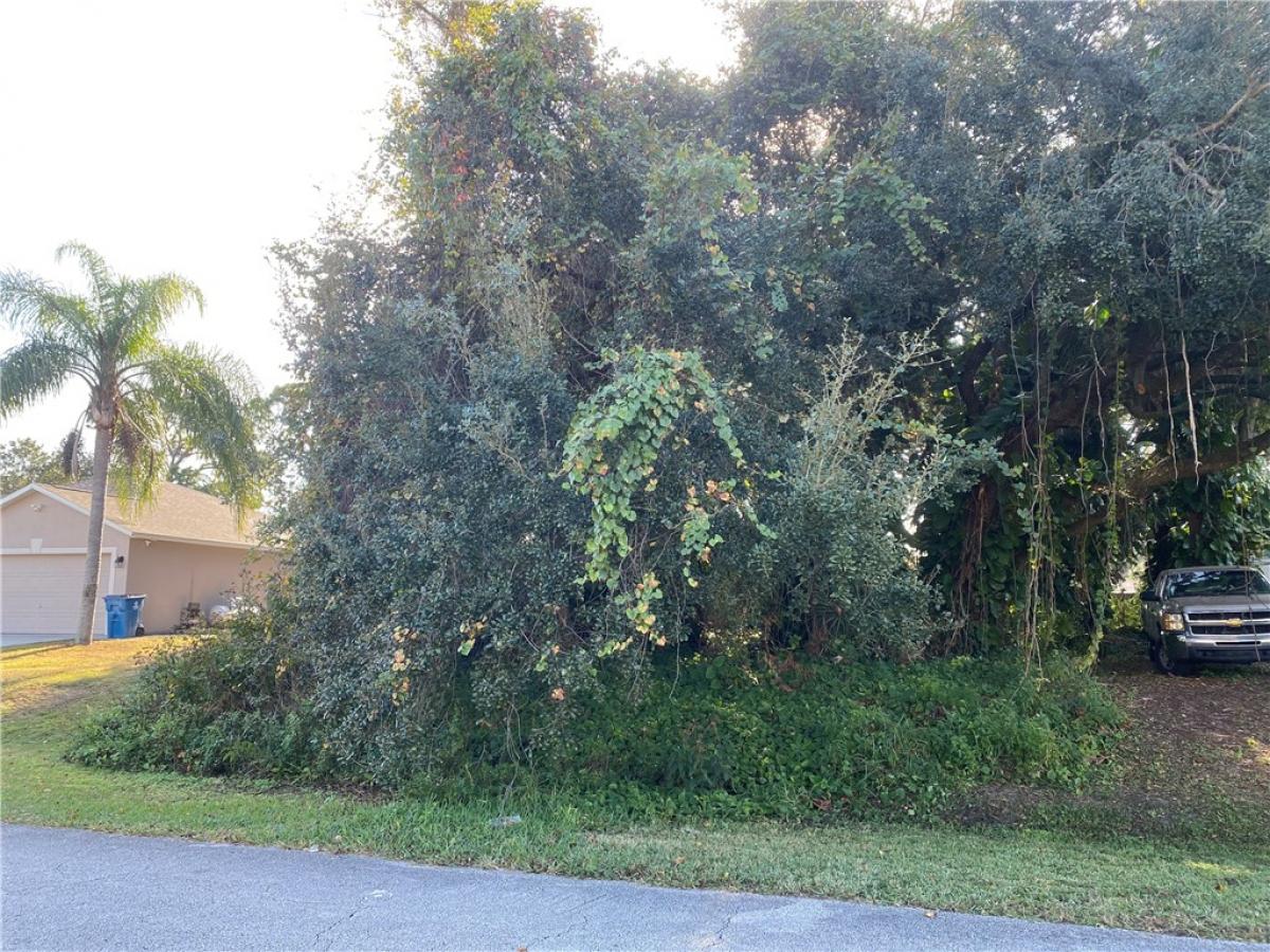 Picture of Raw Land For Sale in Palm Bay, Florida, United States