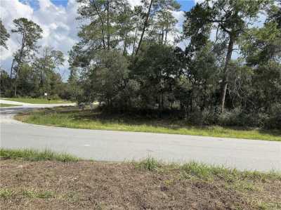 Raw Land For Sale in Ocala, Florida