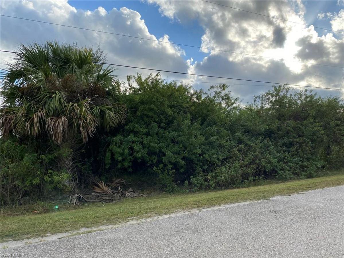 Picture of Raw Land For Sale in Naples, Florida, United States