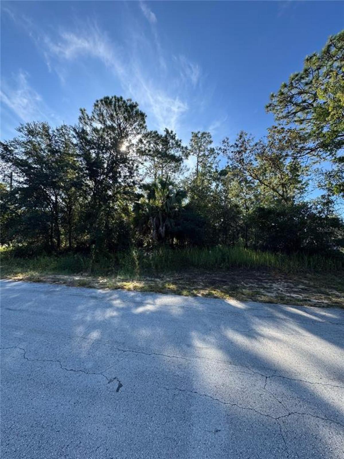 Picture of Raw Land For Sale in Ocala, Florida, United States