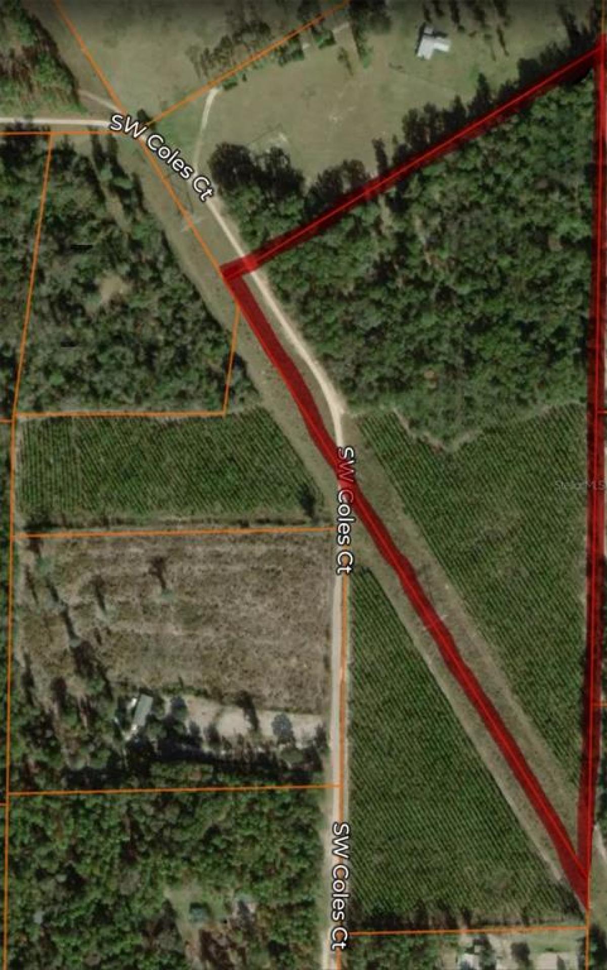 Picture of Raw Land For Sale in Fort White, Florida, United States