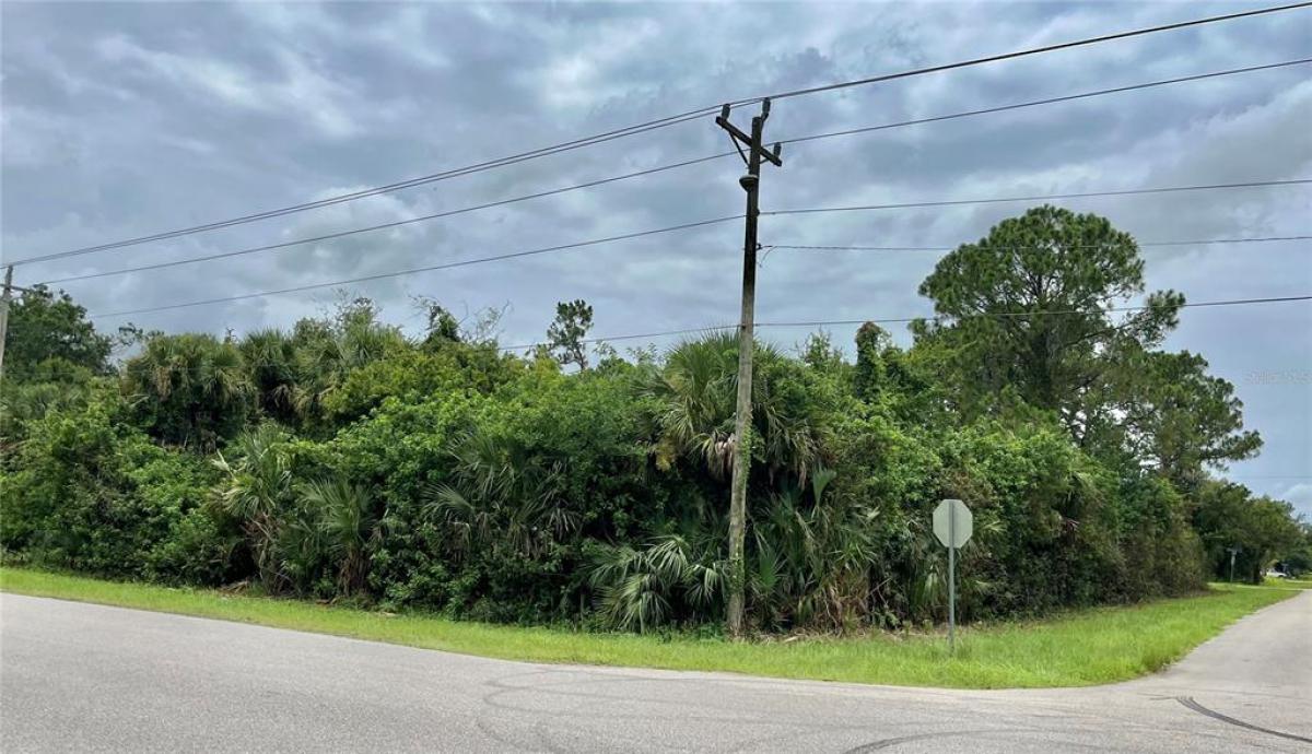 Picture of Raw Land For Sale in Lehigh Acres, Florida, United States