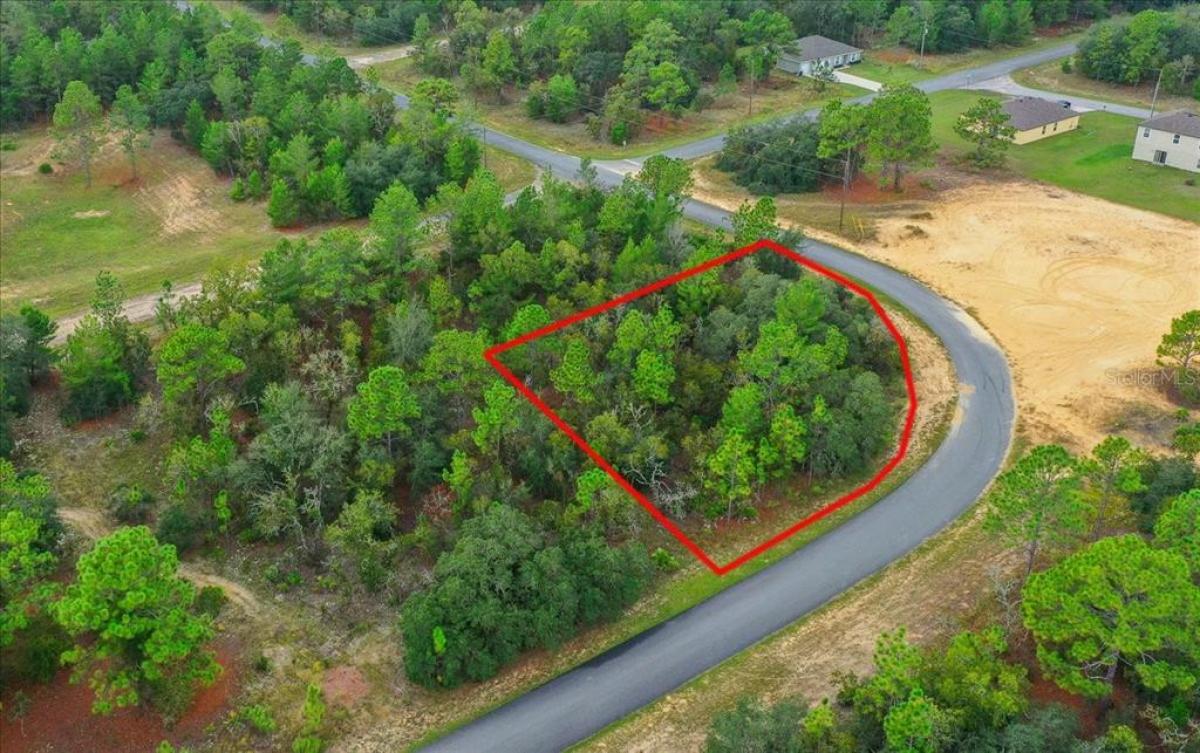 Picture of Raw Land For Sale in Citrus Springs, Florida, United States