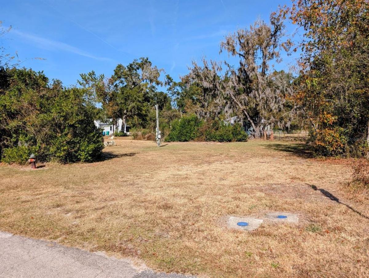 Picture of Raw Land For Sale in High Springs, Florida, United States