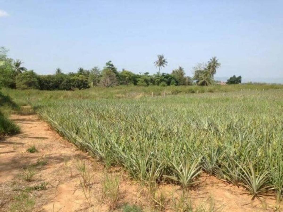 Picture of Residential Land For Sale in Prachuabkirikhan, Prachuap Khiri Khan, Thailand
