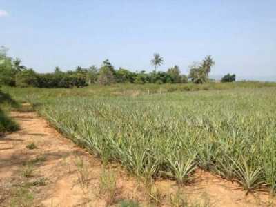 Residential Land For Sale in Prachuabkirikhan, Thailand