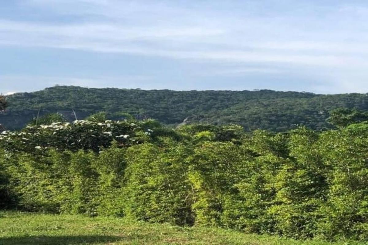 Picture of Residential Land For Sale in Prachuabkirikhan, Prachuap Khiri Khan, Thailand