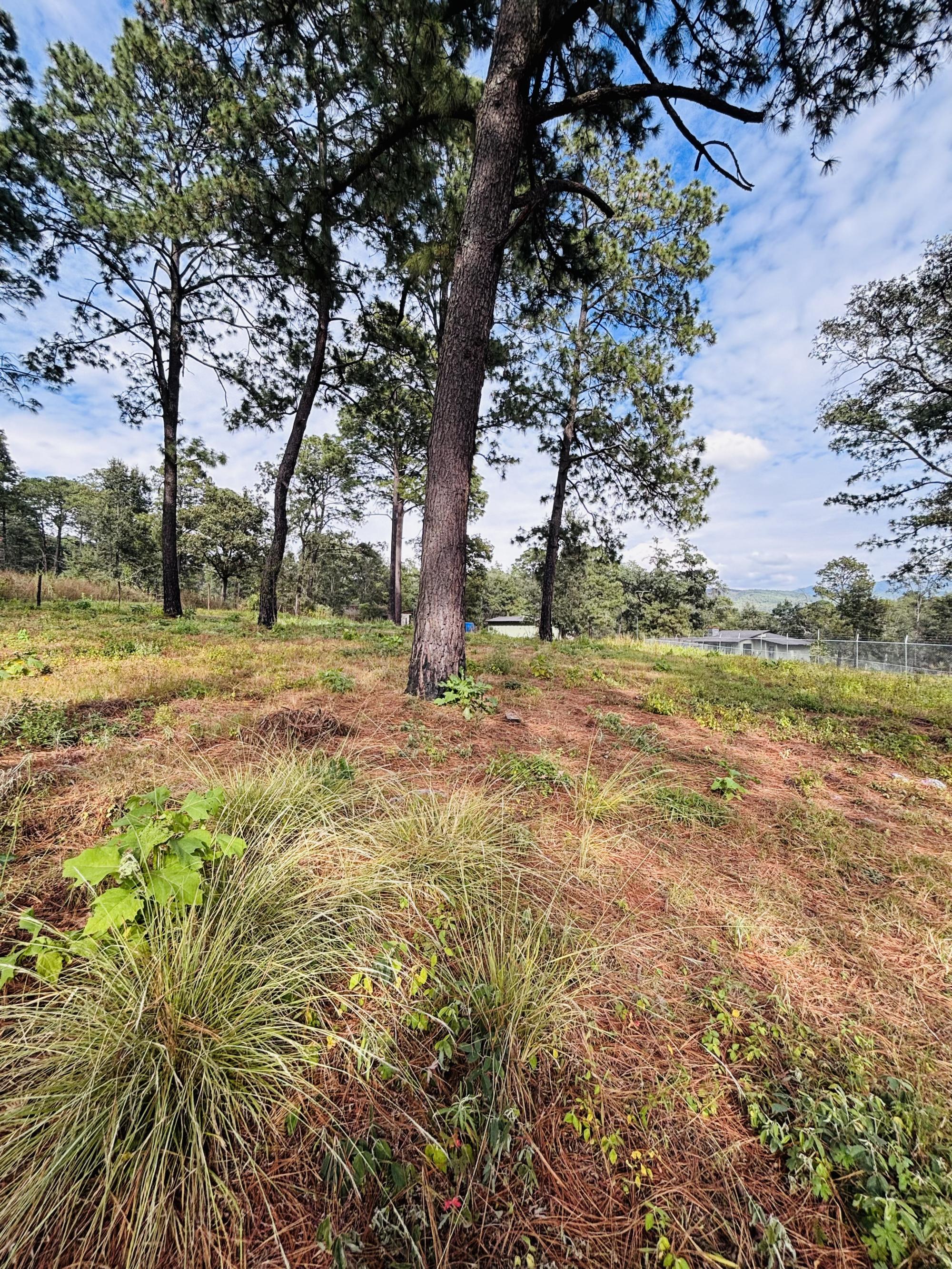 Mixed-Use Land For Sale in 