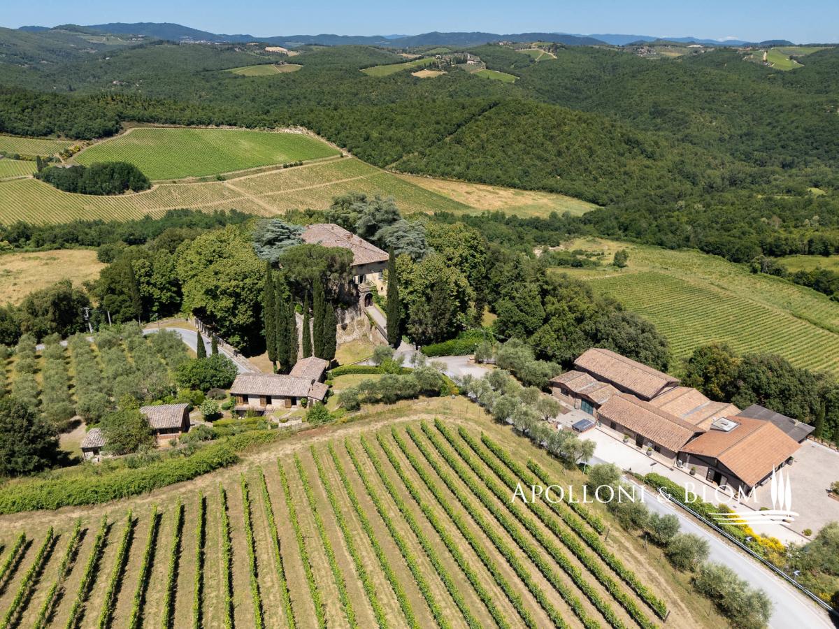 Picture of Commercial Building For Sale in Castelnuovo Berardenga, Tuscany, Italy