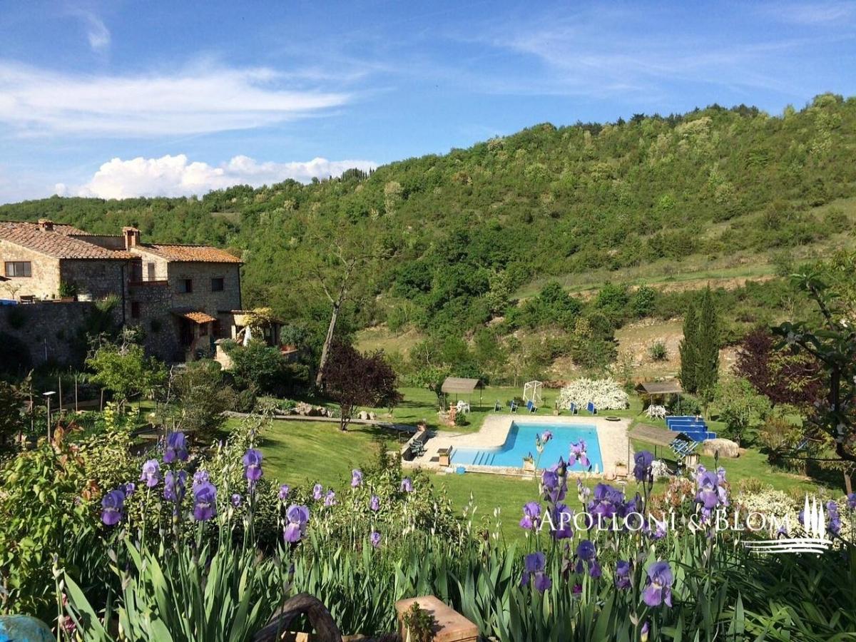 Picture of Home For Sale in Castellina In Chianti, Tuscany, Italy
