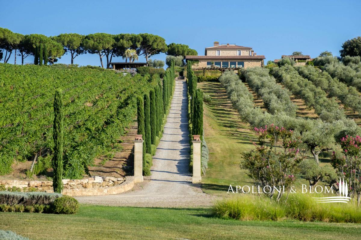 Picture of Commercial Building For Sale in Massa Marittima, Tuscany, Italy
