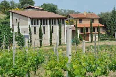 Commercial Building For Sale in Montepulciano, Italy