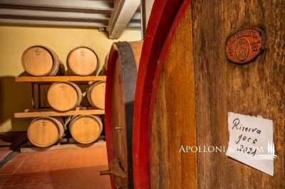 Commercial Building For Sale in Gaiole In Chianti, Italy