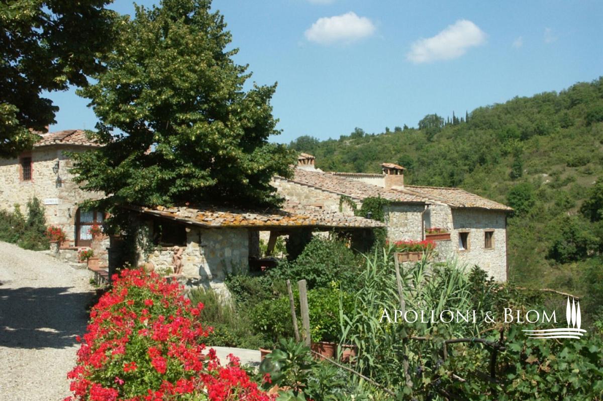 Picture of Home For Sale in Castellina In Chianti, Tuscany, Italy